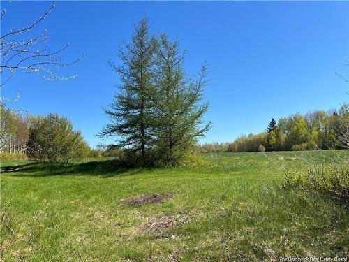 Lots Mooney Creek, Richibucto, NB 