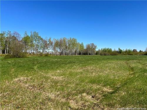 Lots Mooney Creek, Richibucto, NB 