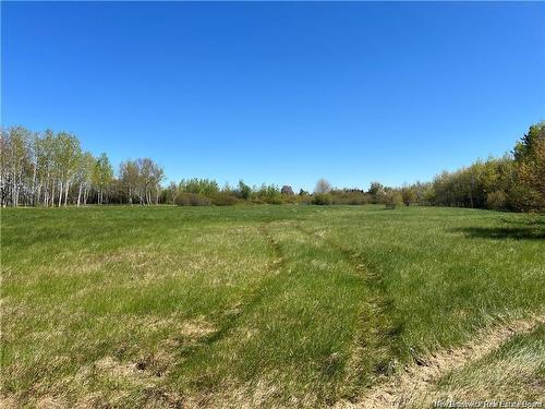 Lots Mooney Creek, Richibucto, NB 