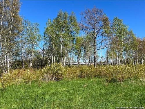 Lots Mooney Creek, Richibucto, NB 