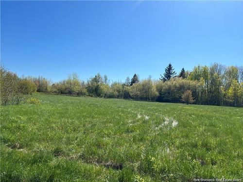 Lots Mooney Creek, Richibucto, NB 