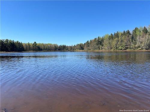 Lots Mooney Creek, Richibucto, NB 