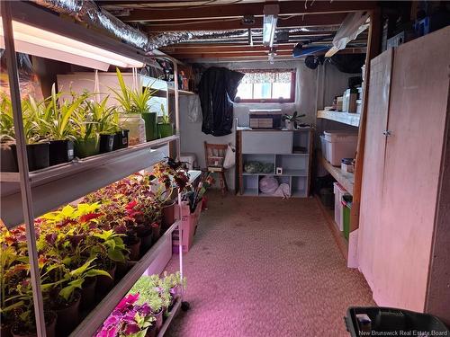 308 Buckingham Ave, Riverview, NB 