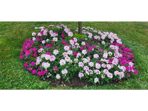 308 Buckingham Ave, Riverview, NB 