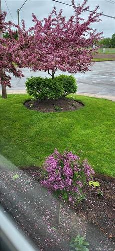 308 Buckingham Ave, Riverview, NB 