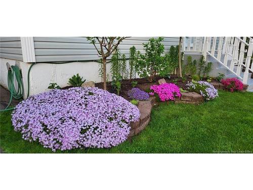 308 Buckingham Ave, Riverview, NB 