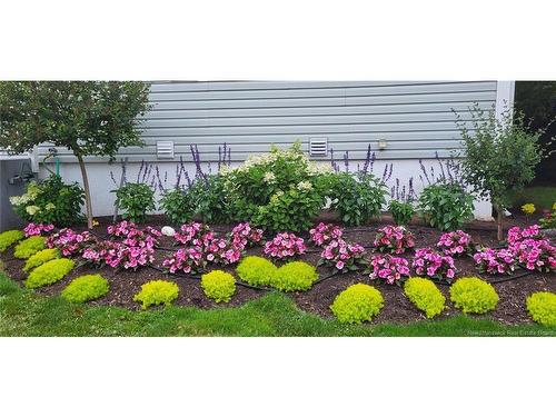 308 Buckingham Ave, Riverview, NB 