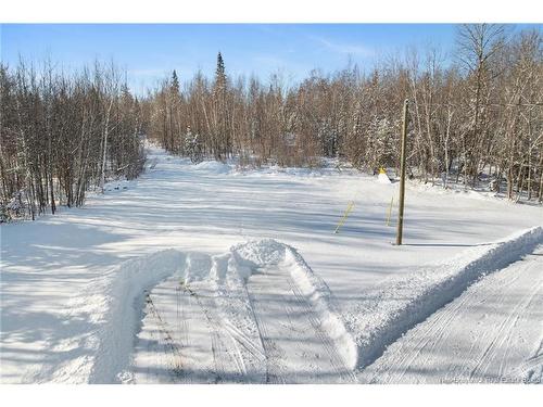 19 Slope Rd, Minto, NB 