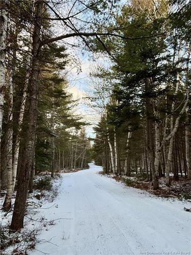 262 Straightbrook Rd, Tabusintac, NB 