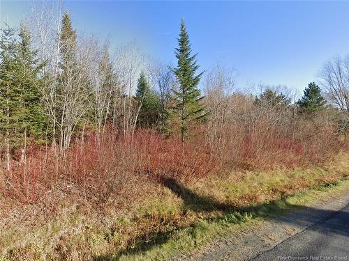 175 Riceville Rd, St-Hilaire, NB 