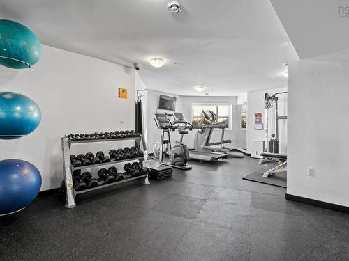 202 5221 Nora Bernard Street, Halifax, NS 