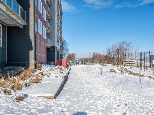 202 5221 Nora Bernard Street, Halifax, NS 