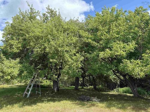 Rear Boisdale, Boisdale, NS 