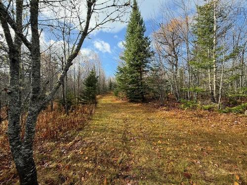 Rear Boisdale, Boisdale, NS 