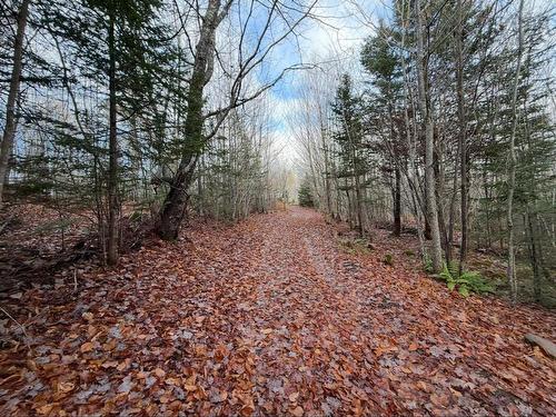 Rear Boisdale, Boisdale, NS 