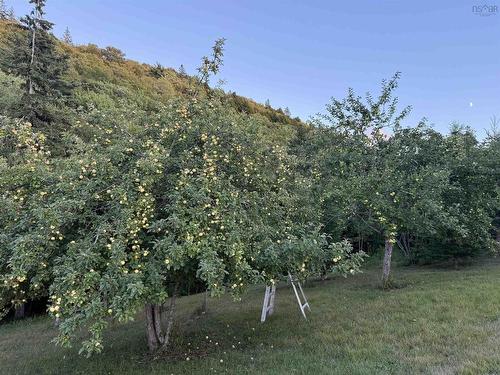 Rear Boisdale, Boisdale, NS 