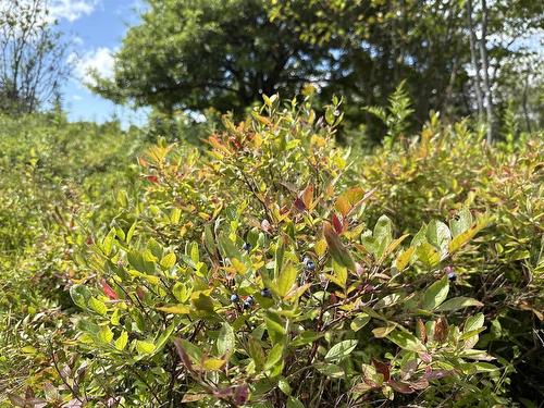 Rear Boisdale, Boisdale, NS 