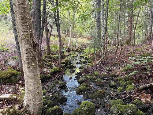 Rear Boisdale, Boisdale, NS 