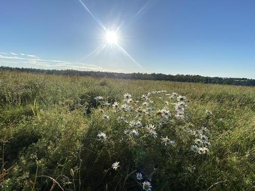 15 Rose Lane, Stanley Bridge, PE 