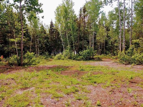 Acreage 23.5 Acres Point Pleasant Road, Murray River, PE 