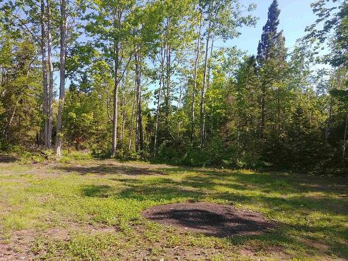 Acreage 23.5 Acres Point Pleasant Road, Murray River, PE 