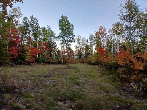 Acreage 23.5 Acres Point Pleasant Road, Murray River, PE 