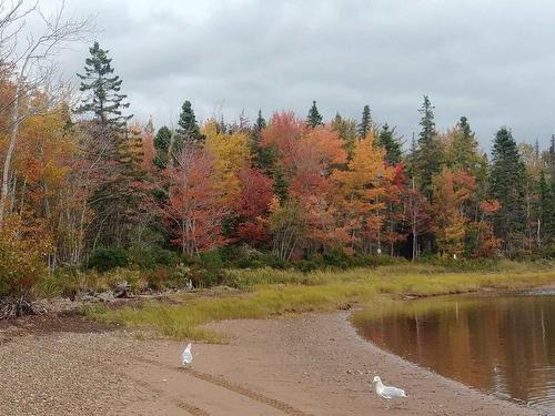 Acreage 23.5 Acres Point Pleasant Road, Murray River, PE 