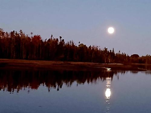 Acreage 23.5 Acres Point Pleasant Road, Murray River, PE 