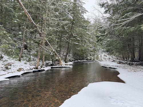 420 Highway 246, Wentworth, NS 