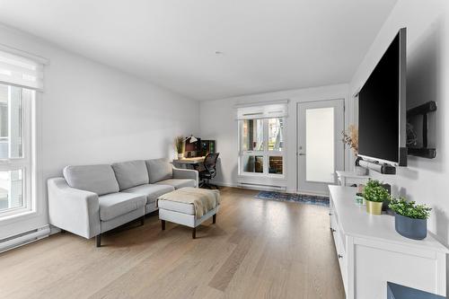 Living room - 202-594 Rue Nicolet, Montréal (Mercier/Hochelaga-Maisonneuve), QC - Indoor Photo Showing Living Room