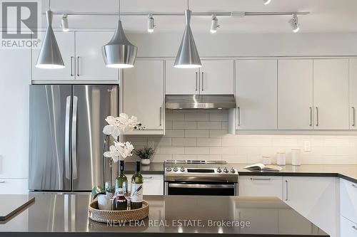 502 - 188 Spadina Avenue, Toronto, ON - Indoor Photo Showing Kitchen With Upgraded Kitchen
