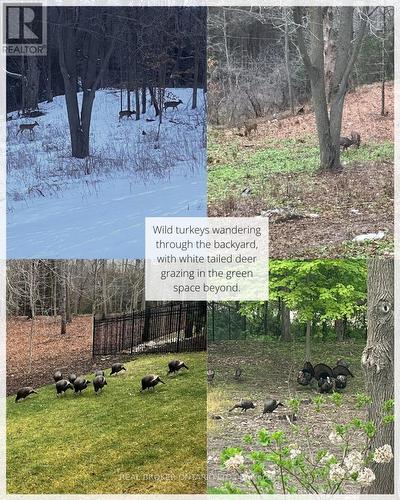 44 Pioneer Ridge Drive, Kitchener, ON - Outdoor