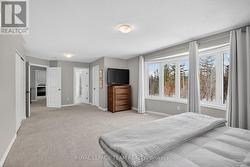 Awesome views of wooded area behind - 