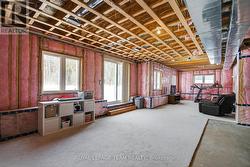 Unspoiled walkout lower level w/9'ceilings! - 