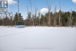 Loads of space for your future pool AND rink! - 