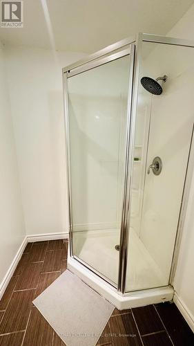 Washroom - 57 Creek Ridge Street, Kitchener, ON 