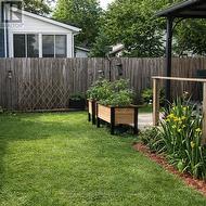 Photos taken by owners last summer - 