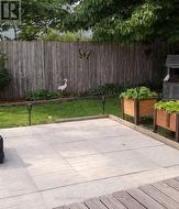 Photos taken by owners last summer - 