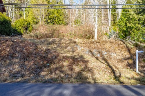 295 North Shore Rd West, Lake Cowichan, BC 