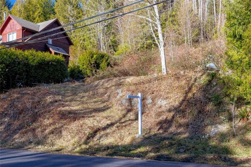 295 North Shore Rd West, Lake Cowichan, BC 