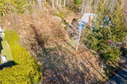 295 North Shore Rd West, Lake Cowichan, BC 