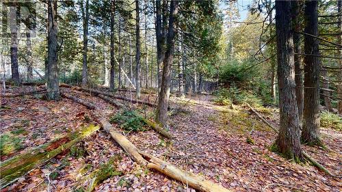 7 Sandy Point, Manitowaning, ON 