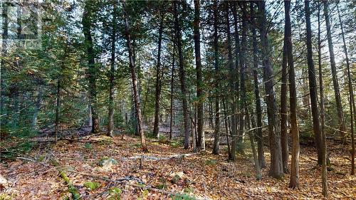 7 Sandy Point, Manitowaning, ON 