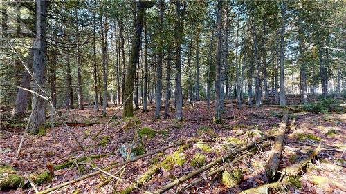 7 Sandy Point, Manitowaning, ON 