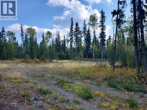 10000 W Hartman Road, Prince George, BC 