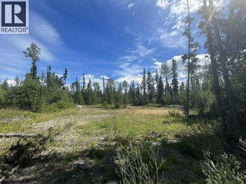 10000 W Hartman Road, Prince George, BC 