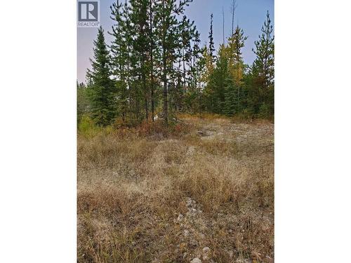 10000 W Hartman Road, Prince George, BC 