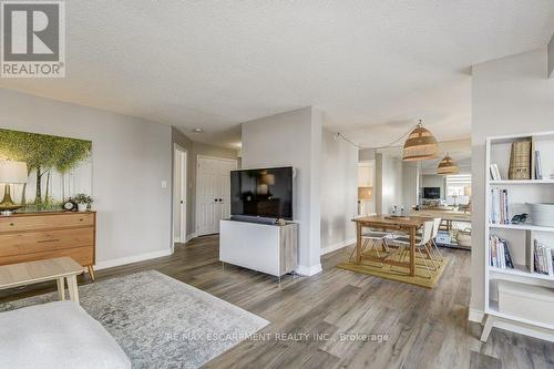 9D - 67 Caroline Street S, Hamilton, ON - Indoor Photo Showing Living Room