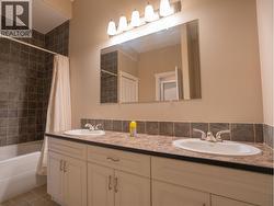 Bathroom Lower Level - 