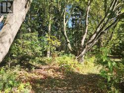 23040 DOHERTY STREET  Chatham-Kent, ON N0P 1V0